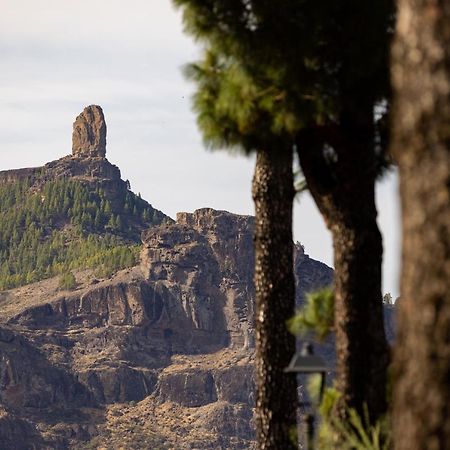 Ferienwohnung Casa Maria With Roque Nublo View Tejeda  Exterior foto