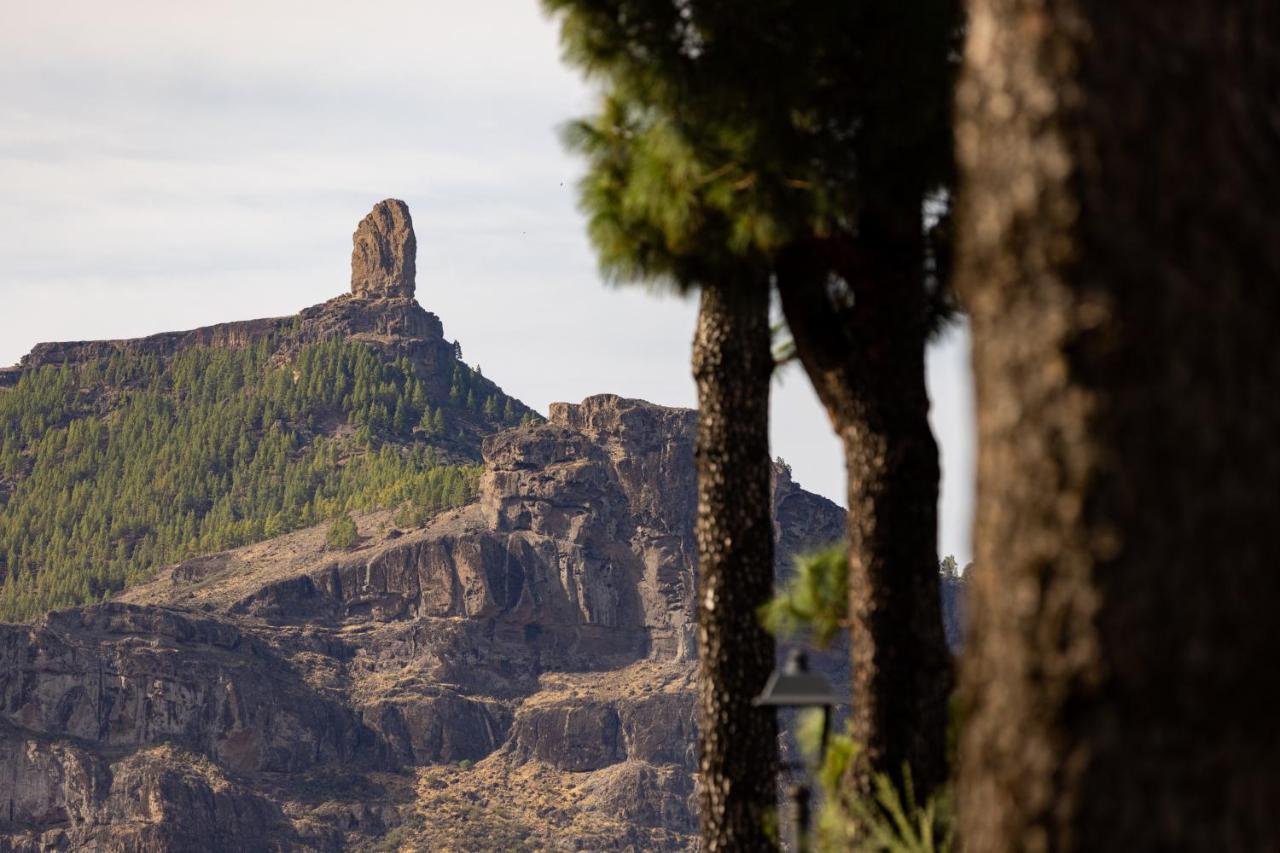 Ferienwohnung Casa Maria With Roque Nublo View Tejeda  Exterior foto