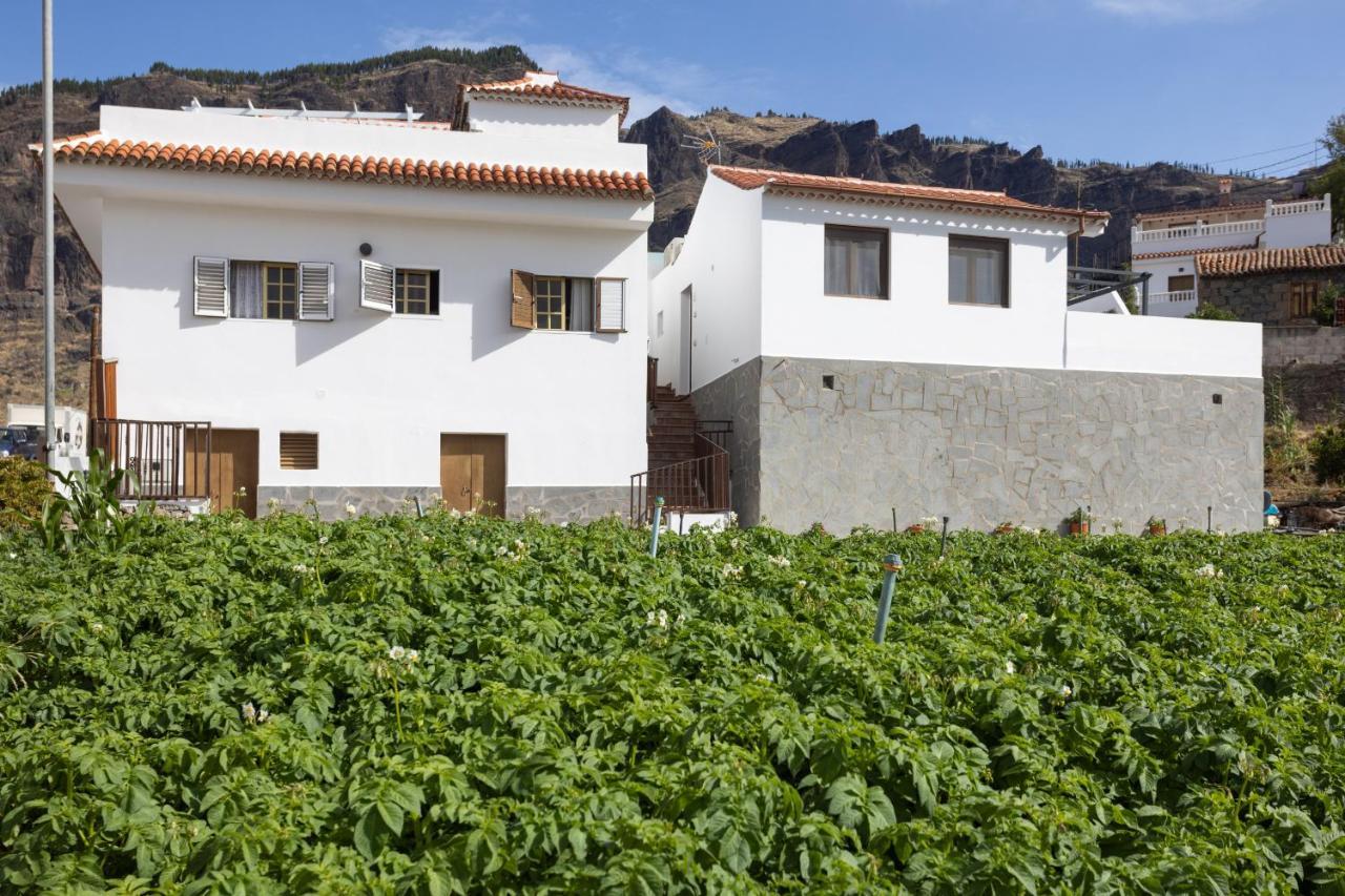 Ferienwohnung Casa Maria With Roque Nublo View Tejeda  Exterior foto